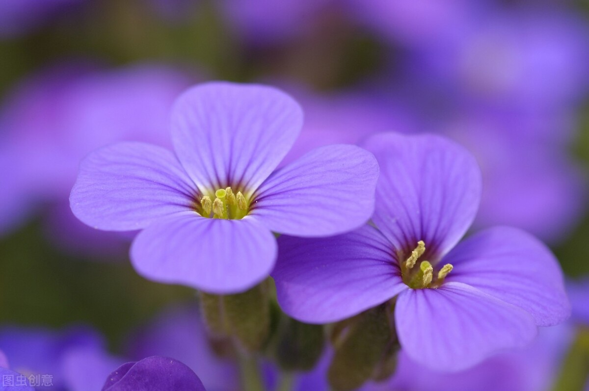 早安暖心治愈系心语语录