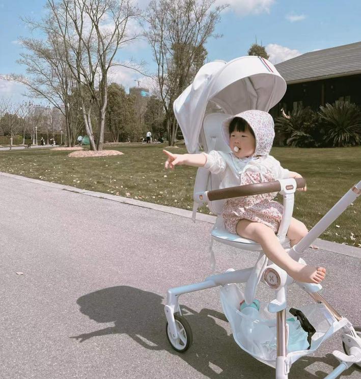 婴儿车牌子怎么选,十大品牌婴儿车