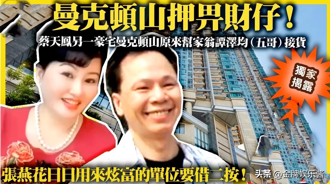 香港蔡天凤个人资料及简历,港媒曝蔡天凤真实身份