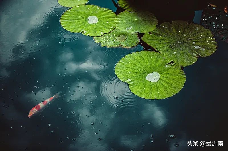 100个描写天气的词语,20个描写天气的雅称