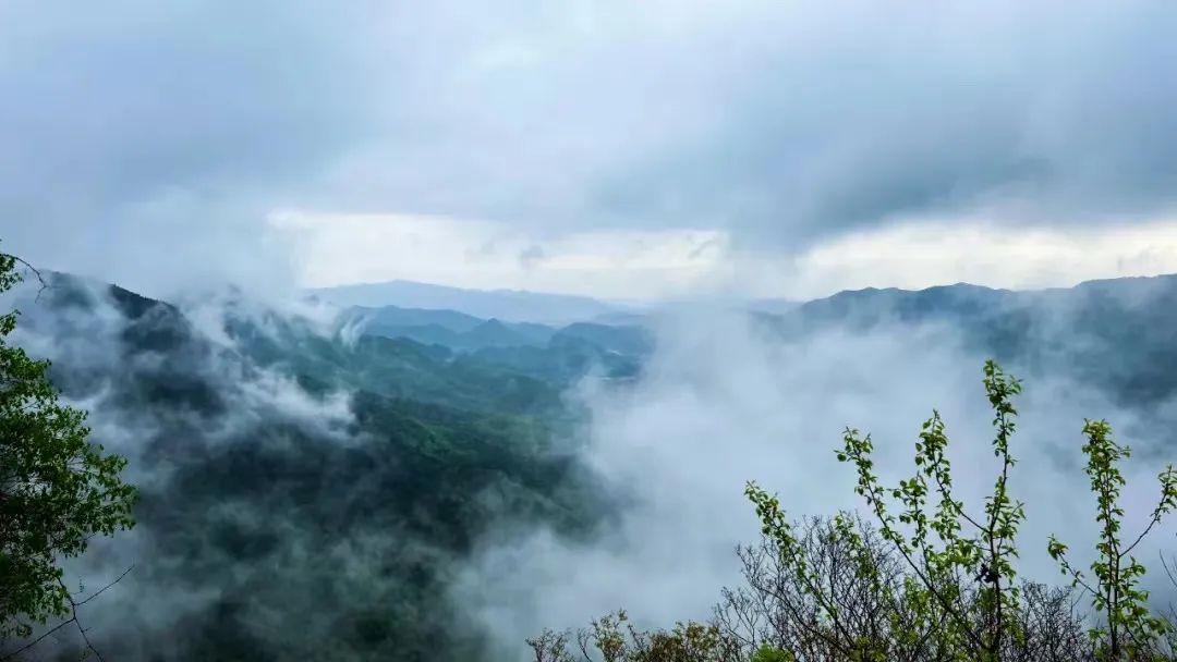 万仙山景区旅游攻略,万仙山免票期间需要提前预约吗