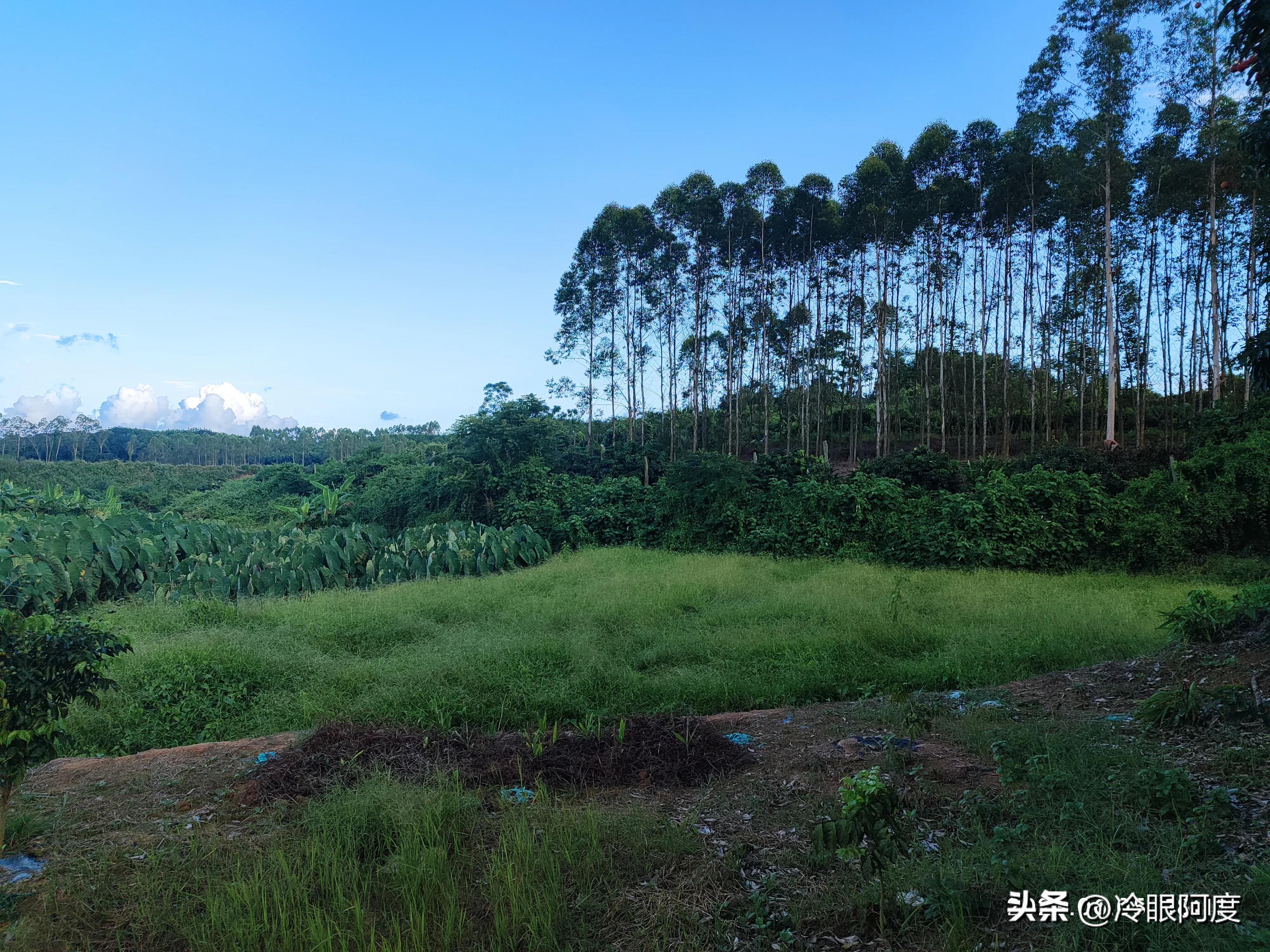 珠江摩托车品牌介绍,珠江摩托车国内排名