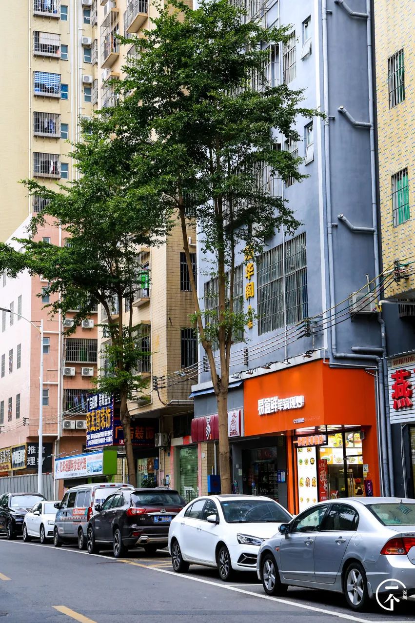 深圳航空空少乘务员,空姐空少乘务员