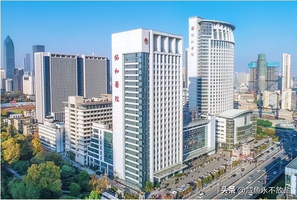 女子生下连体双胞胎后续,女子产下同母异父双胞胎完整版