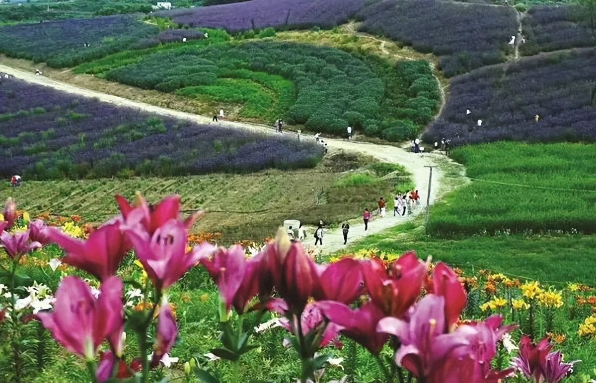 以绿色生态循环引领农业发展,郧阳区现代农业示范区