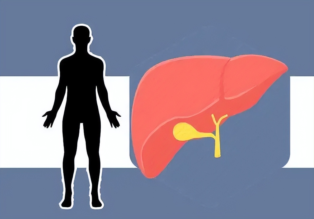 肝脏占位原因不明,肝脏占位不好的结果是什么