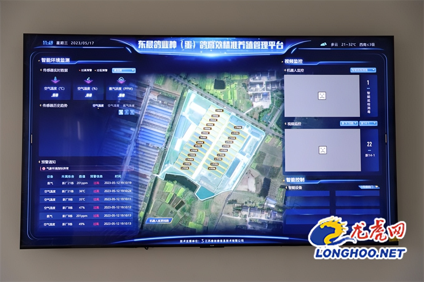 小鸽子大产业致富路,小鸽子铺就致富路