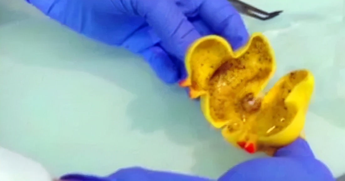 干干净净过新年，热水浴与热水浴池，关键要点可不能错过