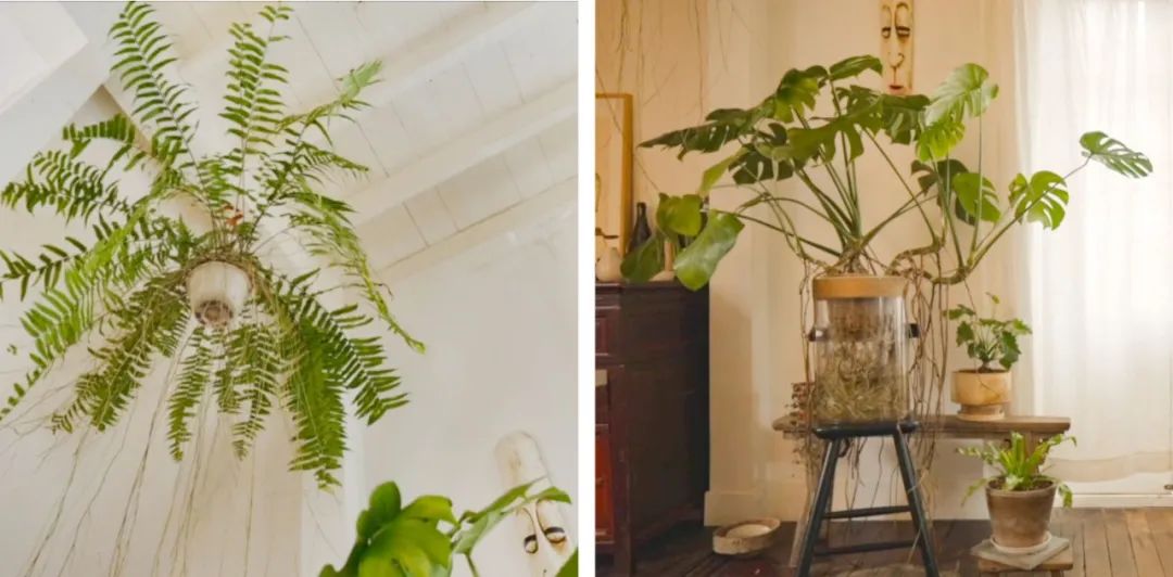 合租天花板上海,合租一个月5万的别墅