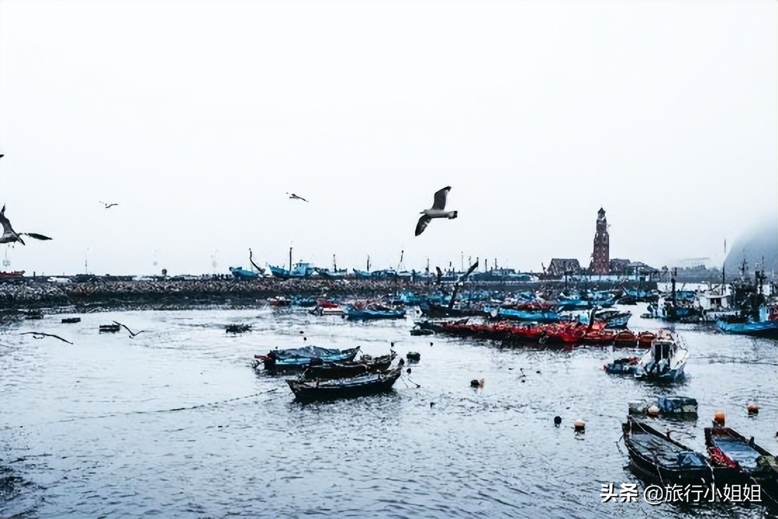 夏日海边微醺氛围感,滨城风光秀丽浪漫气息爆表