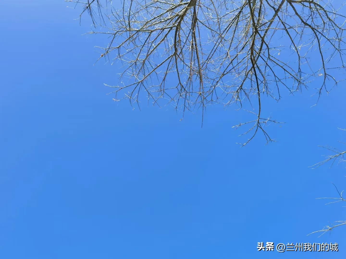 义乌商贸城半日游，人山人海简直太热闹了