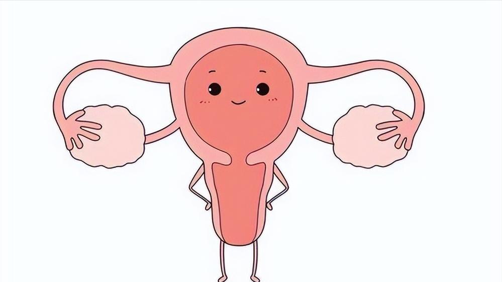 一个女人没有子宫会怎样？和正常女性有什么不同？能有夫妻生活吗