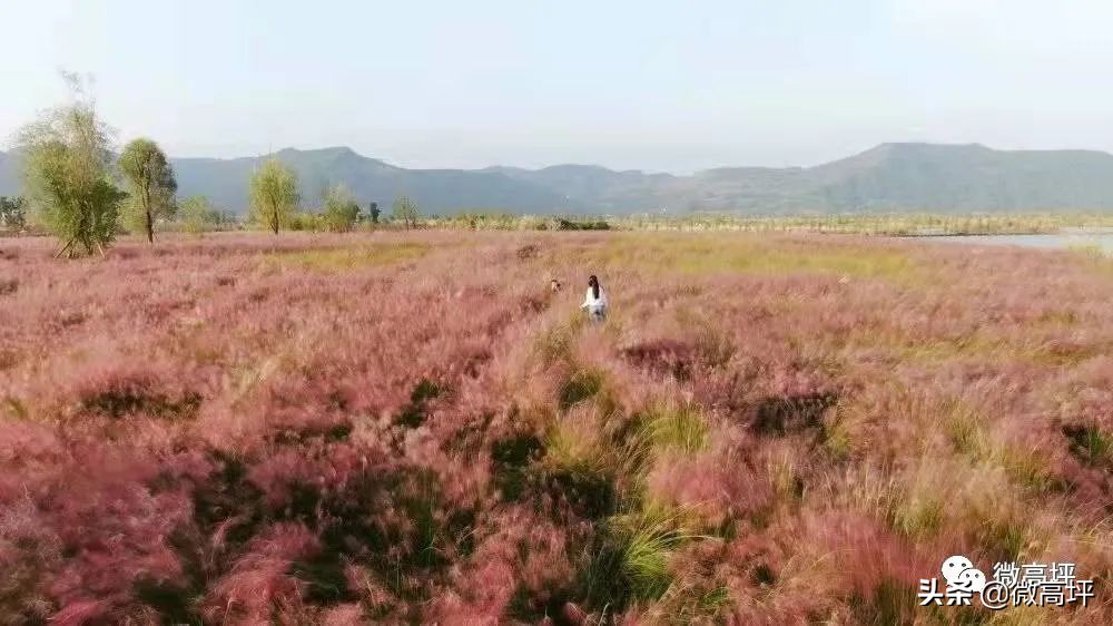 登顶热搜,登上热搜头条