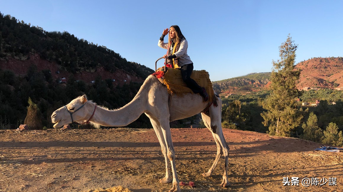 去沙特阿拉伯旅游,去沙特阿拉伯做客注意事项