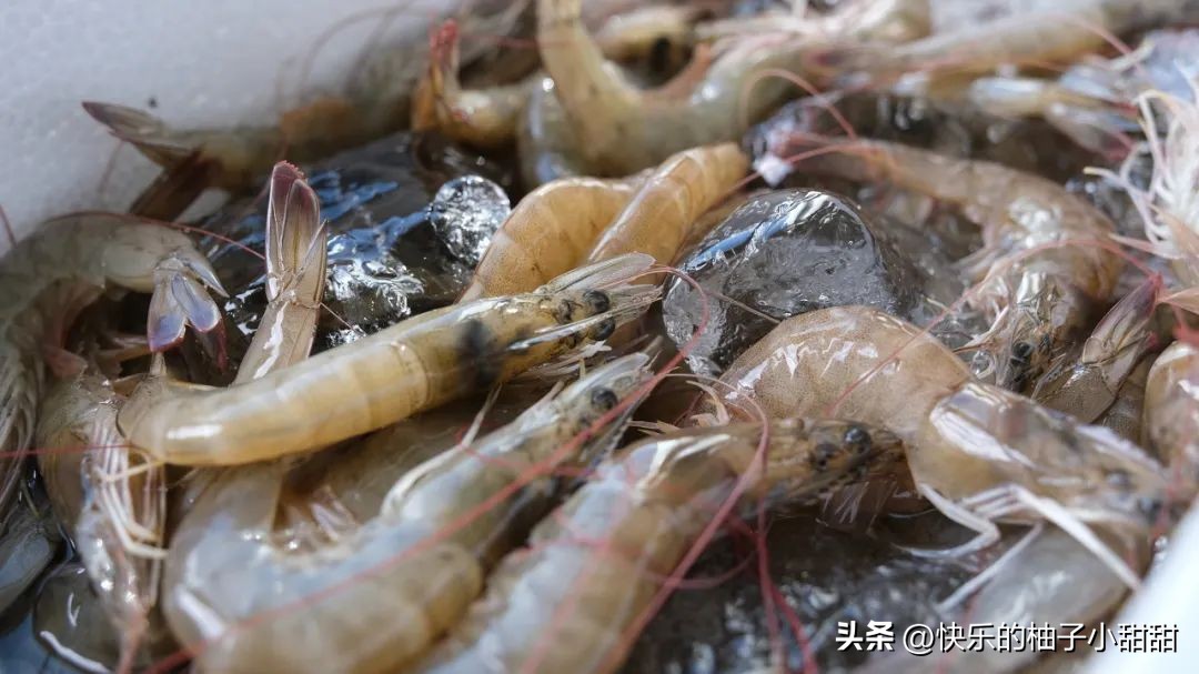 海边自助烧烤打卡地,海边烧烤自由行