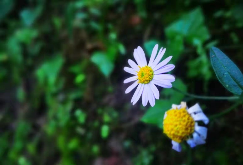 汇通达上市前景,汇通达上市成功没有