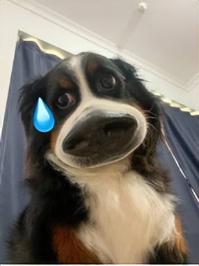 顶风作案！200万粉丝网红品牌芬缇妮创始人，直播带货*牌套**产品