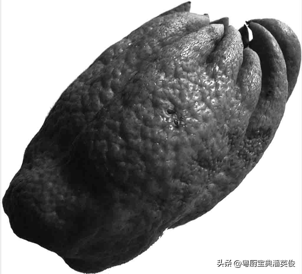 香料知识灵香草,香料知识百科