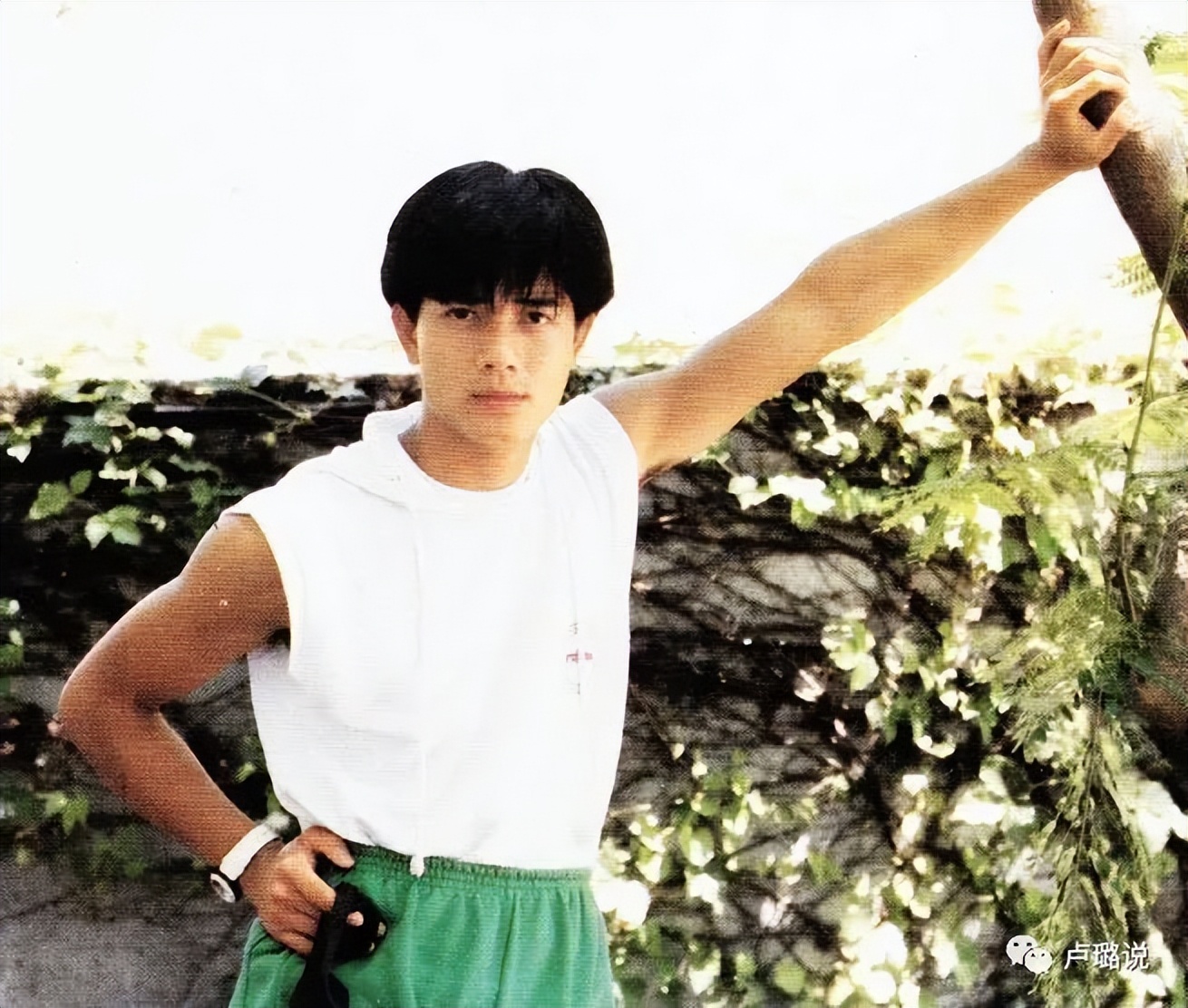 天王隐藏的“大老婆”,把持20亿财产,一生不婚不育,图的是啥?