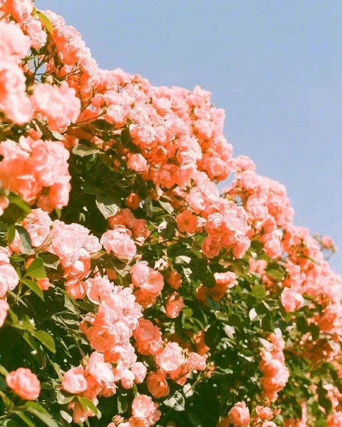 注意微信朋友圈这些内容千万别发,切记这些东西不能发到朋友圈