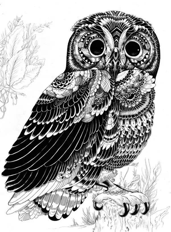 你喜欢什么动物写出它的特点,你喜欢哪些动物用英语怎么说