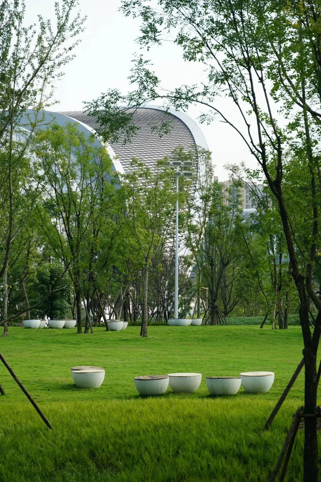 成都音乐森林公园,成都露天音乐公园儿童乐园