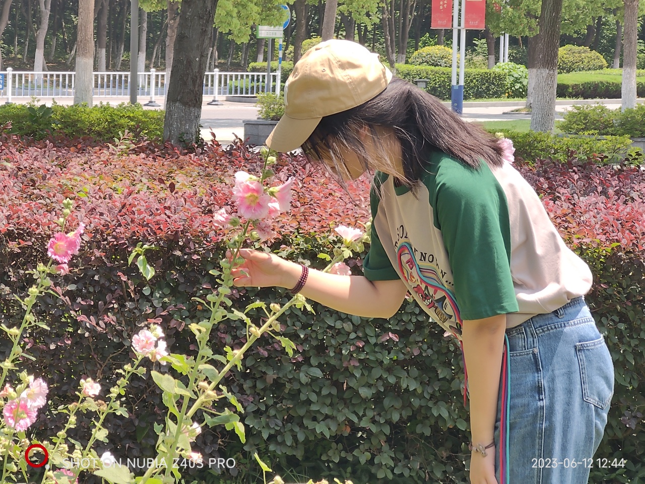 SEU筑梦黔行|团队介绍