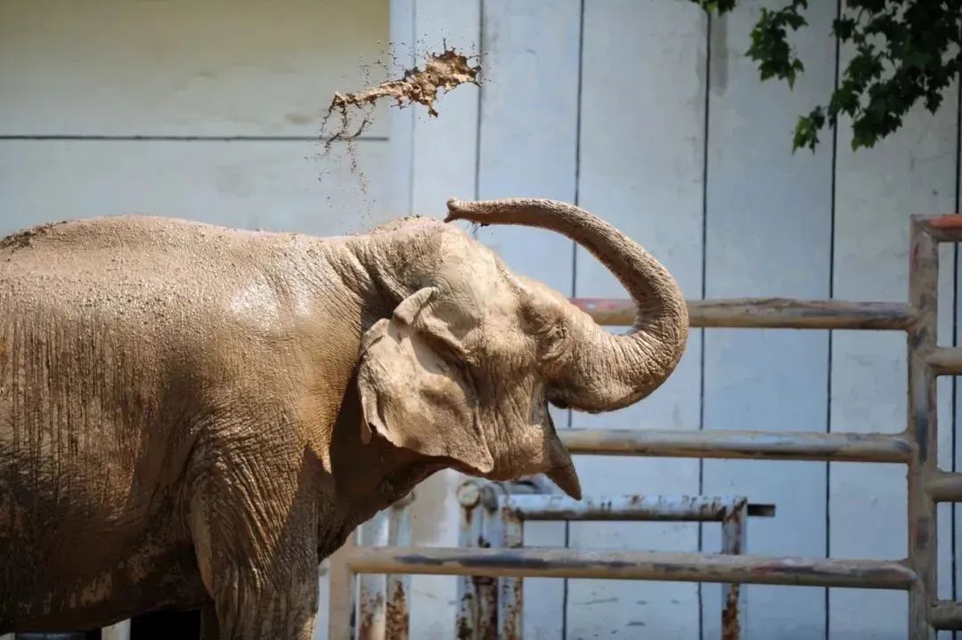 济南遛娃嗨玩这里享优惠,济南遛娃乐园周末