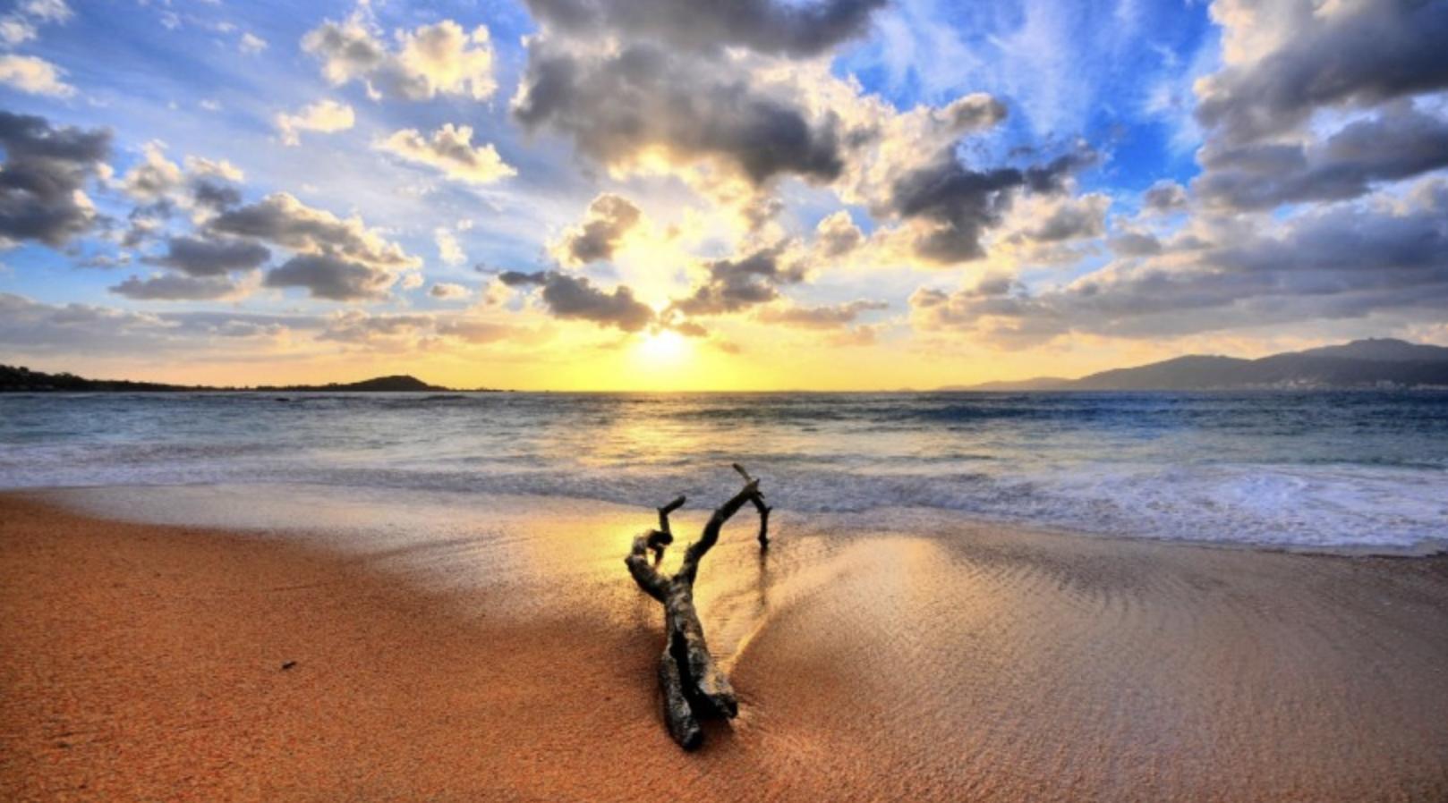 为什么不要和狮子座谈异地,为什么不能跟狮子座谈恋爱