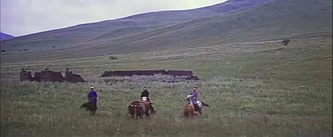 一代宗师退出队伍,一代名导林天师