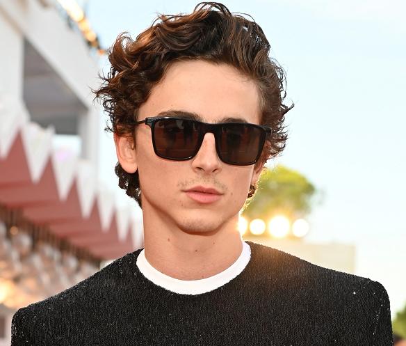 太阳镜款式对应的脸型,太阳镜的各种类型