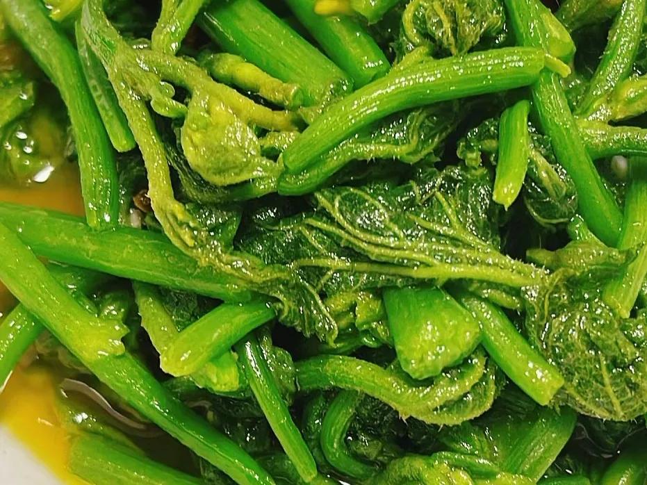 三伏天暑湿较重宜食以清热解暑,三伏天解暑食物一览表