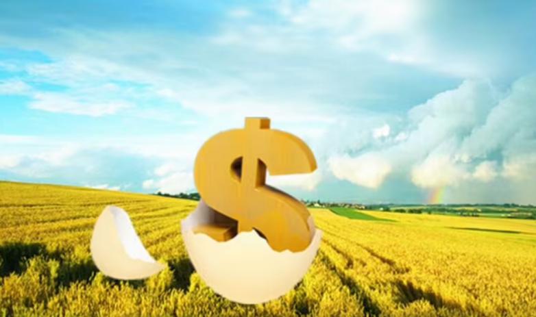 我国农村产业发展的现状及前景,农村产业发展存在的问题和对策