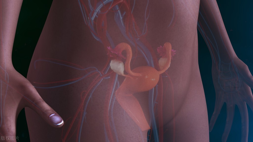 女性身体发臭异味用什么,为什么有一些女生阴道有异味