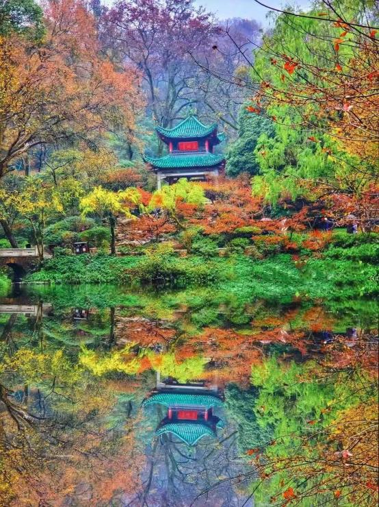 被央媒点名的机会来了,长沙一个让炒房客有去无回的城市