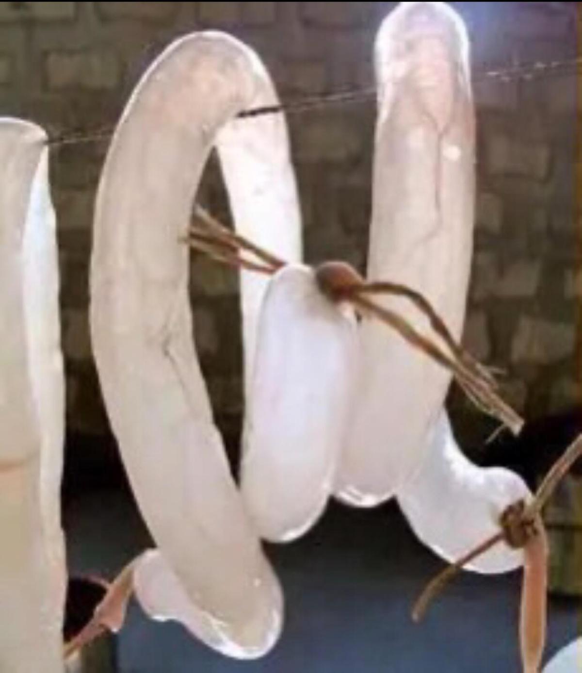 古代没有现代的避孕方法,古代没有避孕措施怎么避孕