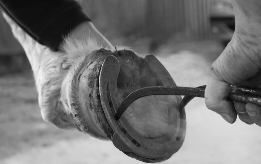 河南农村生产队老物件,生产队时的老物件老图片