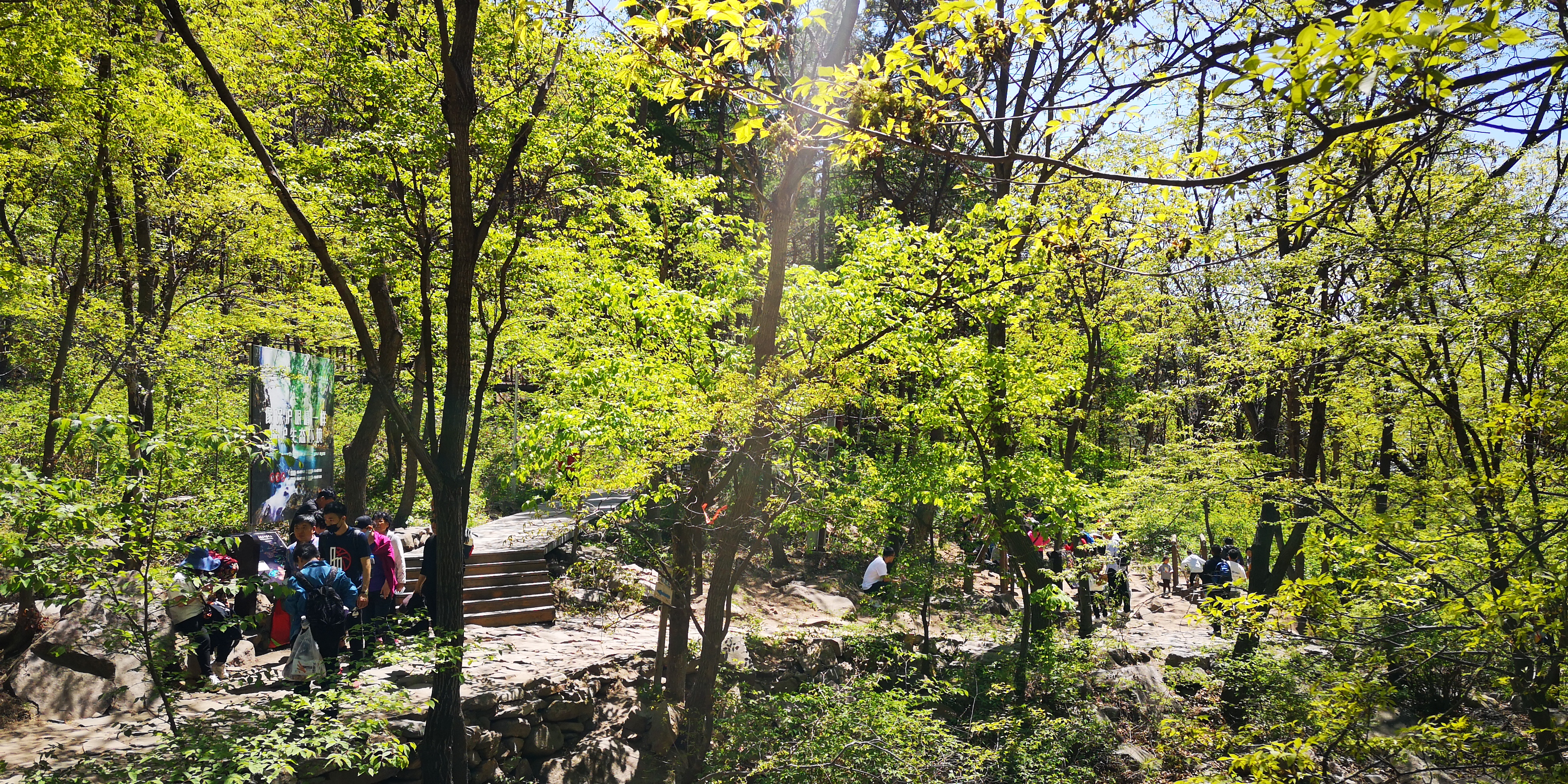 天津梨木台景区值得夏天去的地方,天津蓟县梨木台风景区路线