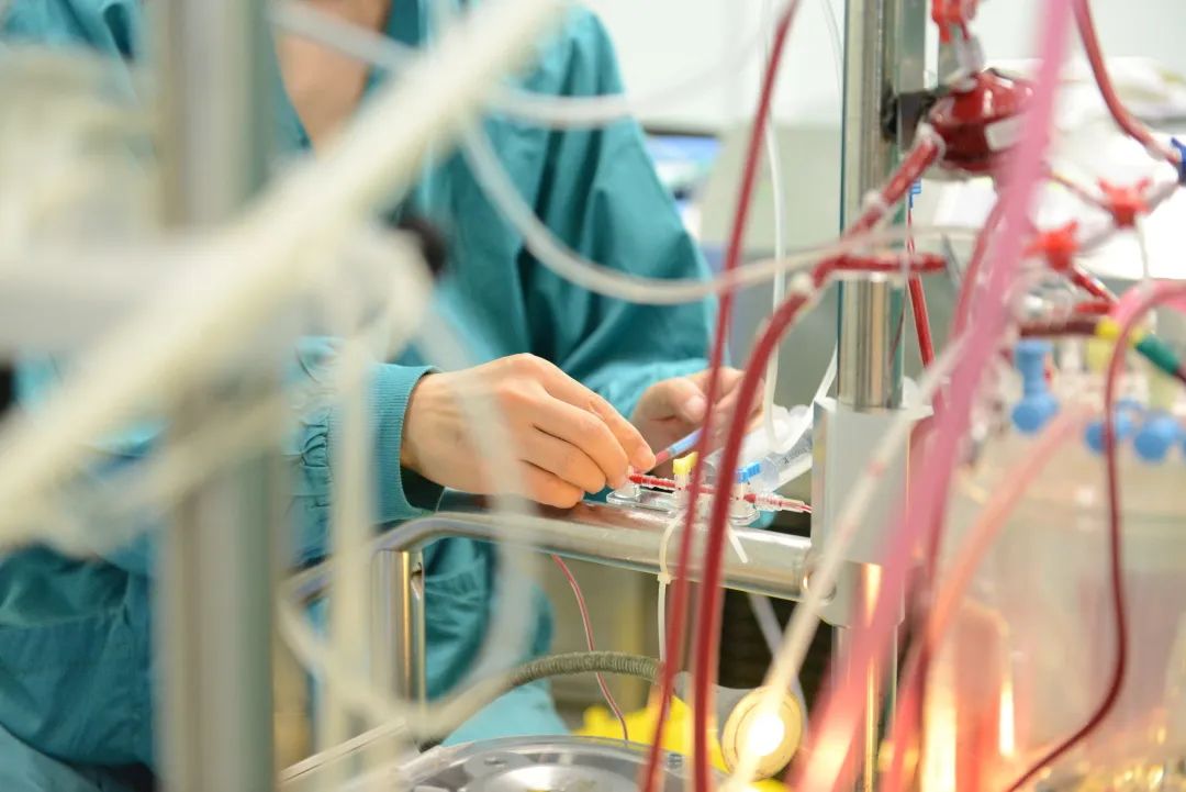 新生儿血管神经畸形,新生儿心脏血管错位修补