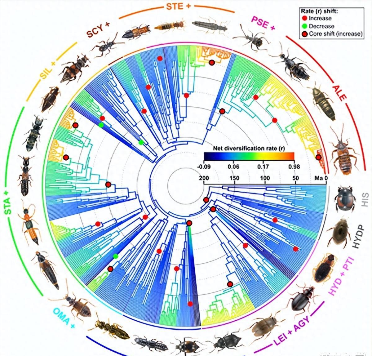 硫酸虫咬了怎么处理,硫酸虫导致皮肤损伤处理