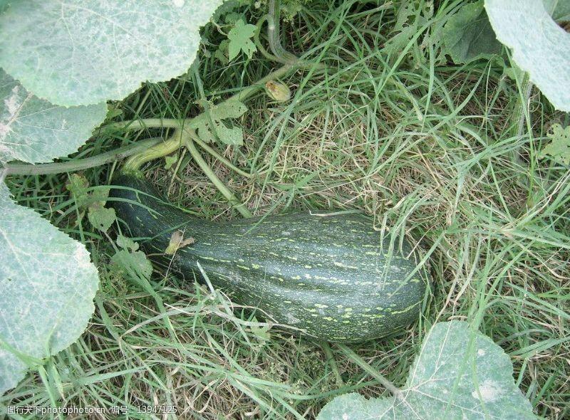 我的母亲并不伟大语录,我的母亲不爱我