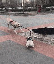 出差住宾馆给老婆发照片,老婆出差酒店给我发照片