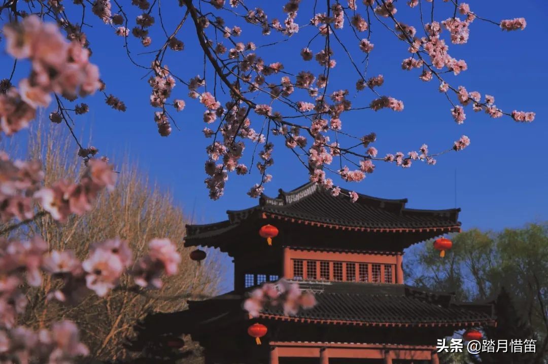 东北沈阳疫情最新通报,东北沈阳疫情