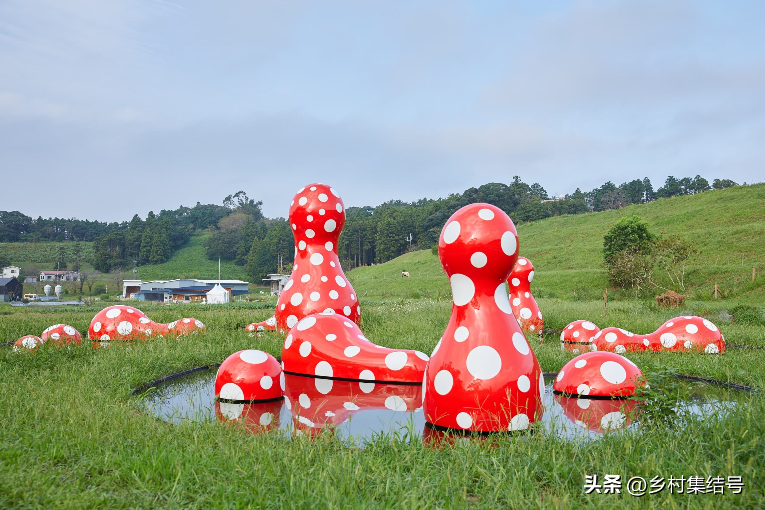 日本农业大县探寻乡村振兴新路,日本家庭农场农业模式