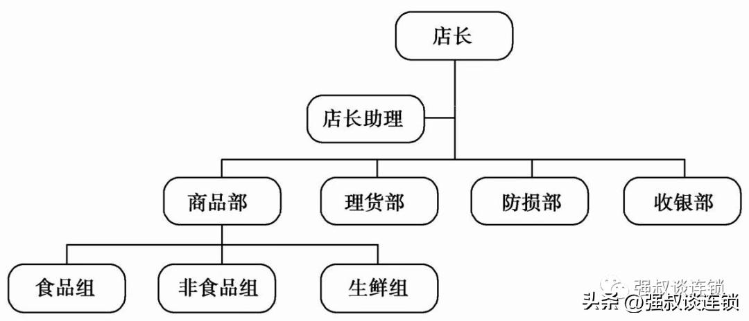 连锁门店组织结构有哪些,连锁总部的职能定位