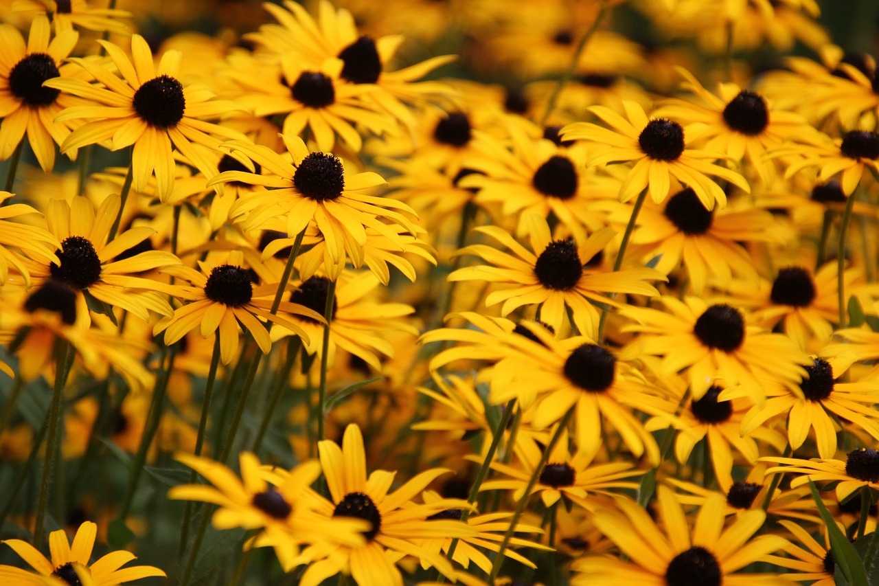 喜欢一个人才知道什么是爱情动力,喜欢一个人才知道什么是爱情