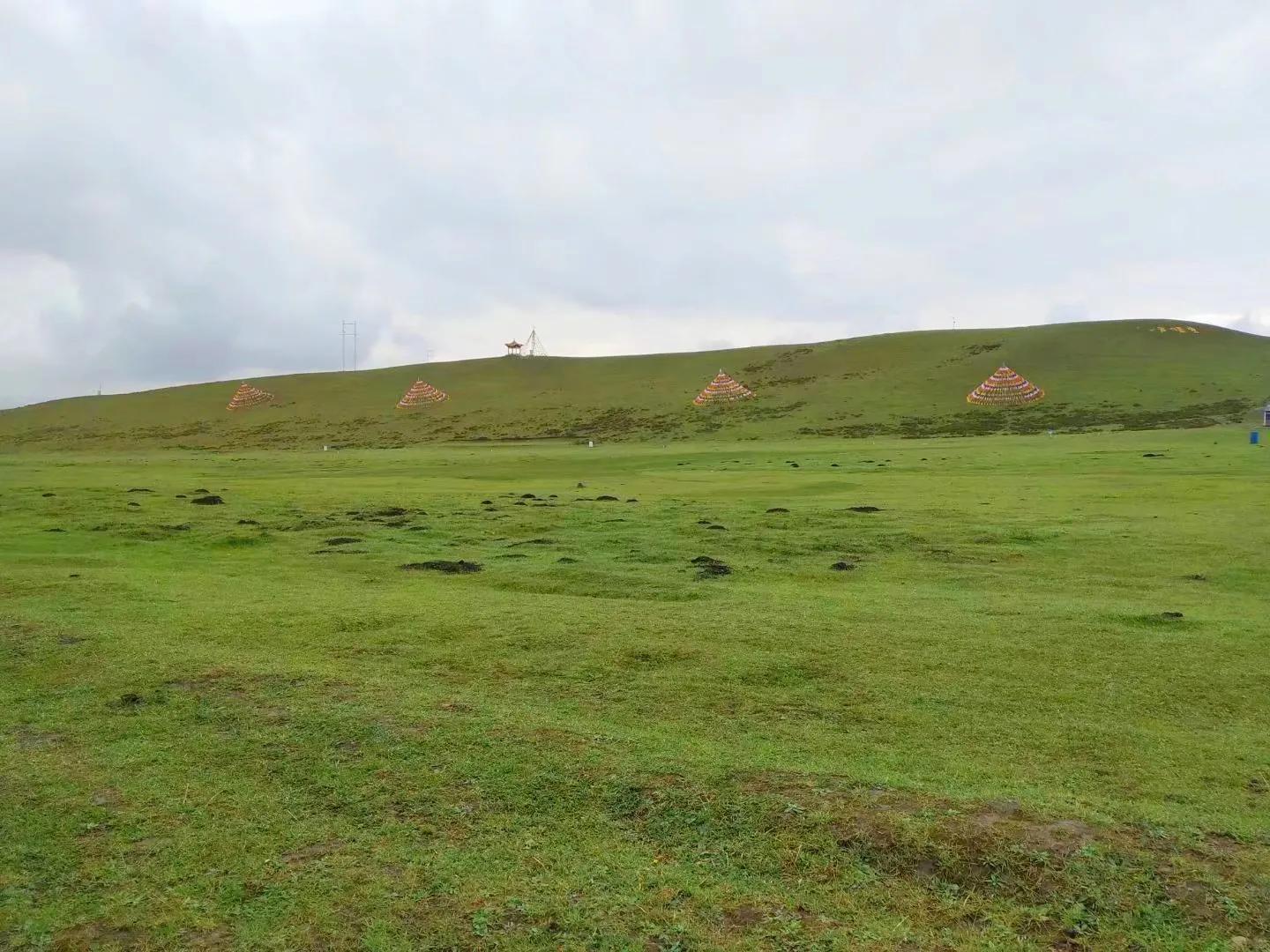旅行去了两次甘肃合作市,谈谈我对这座高原小城的几点旅行印象