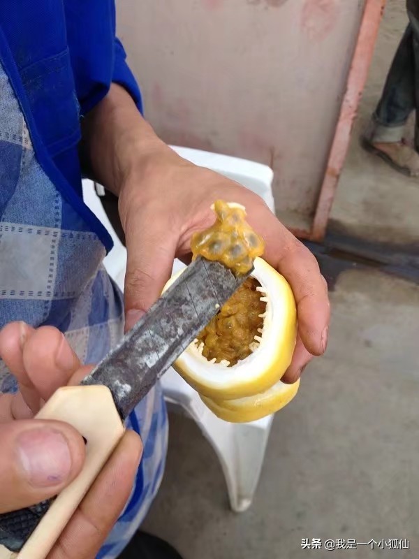 黑人女人在我们公司门口卖百香果（我在非洲安哥拉的日子302）