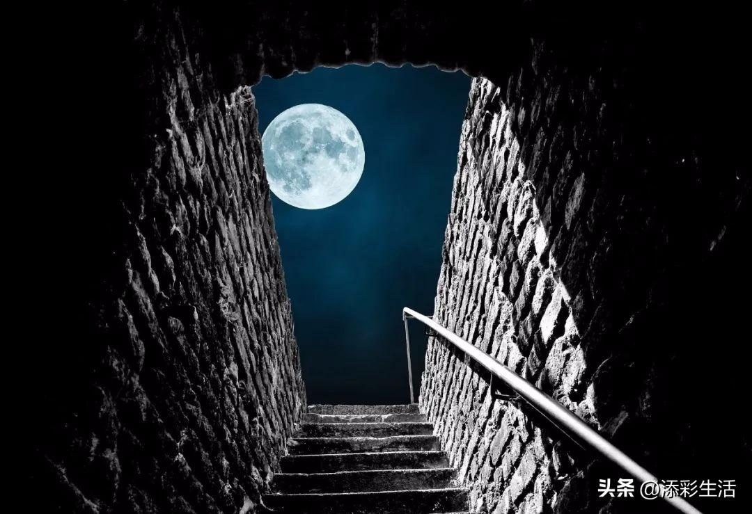 新高考作文素材书推荐,新高考议论文作文素材