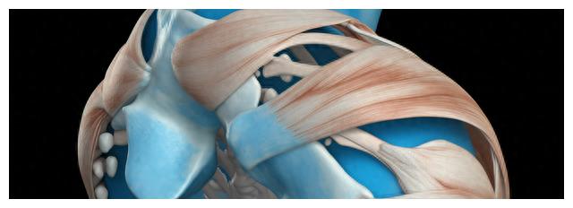 mrna疫苗的研发历程,mrna疫苗的发展趋势